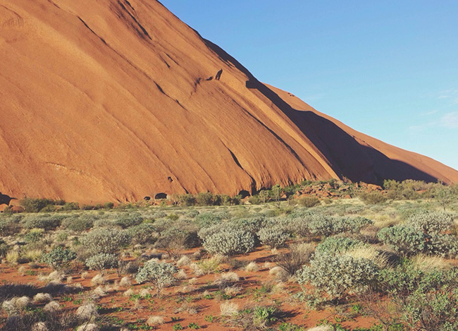 授权码代购的安卓ddos攻击工具